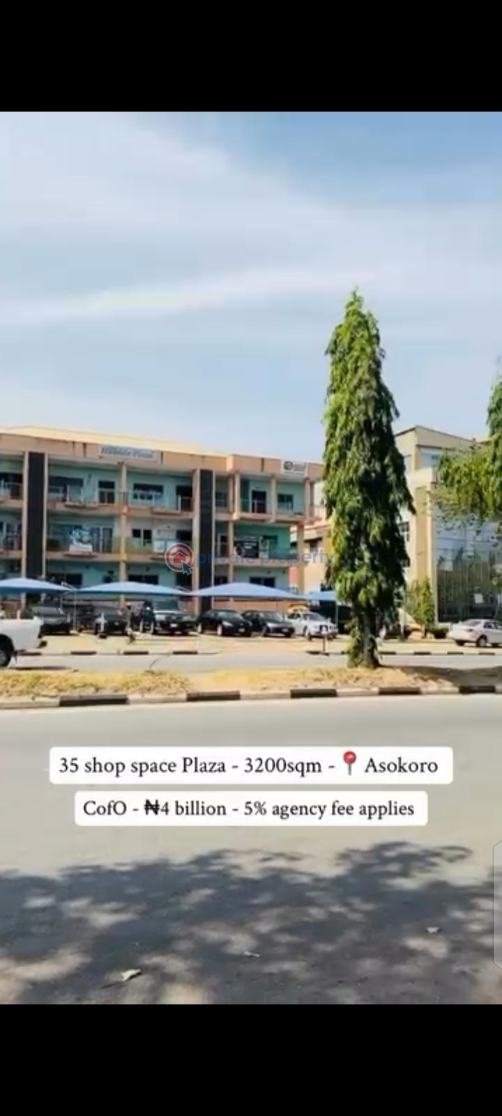 Mall/Complex/Plaza For Sale Asokoro Abuja Phase 1  - 5