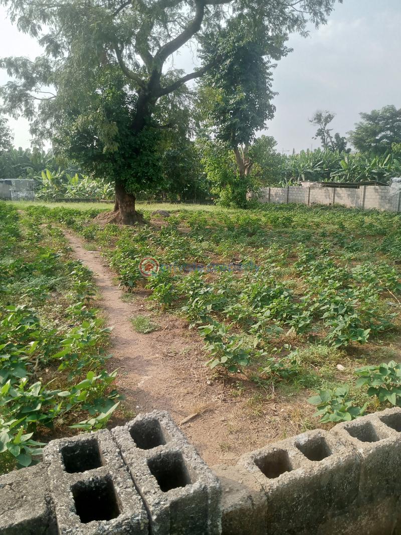 Residential Land For Sale Off Reuben Okoya Street Wuye Abuja Phase 2  - 5