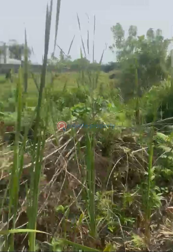 Land For Sale Along Shoprite Sangotedo Ajah Lagos - 0