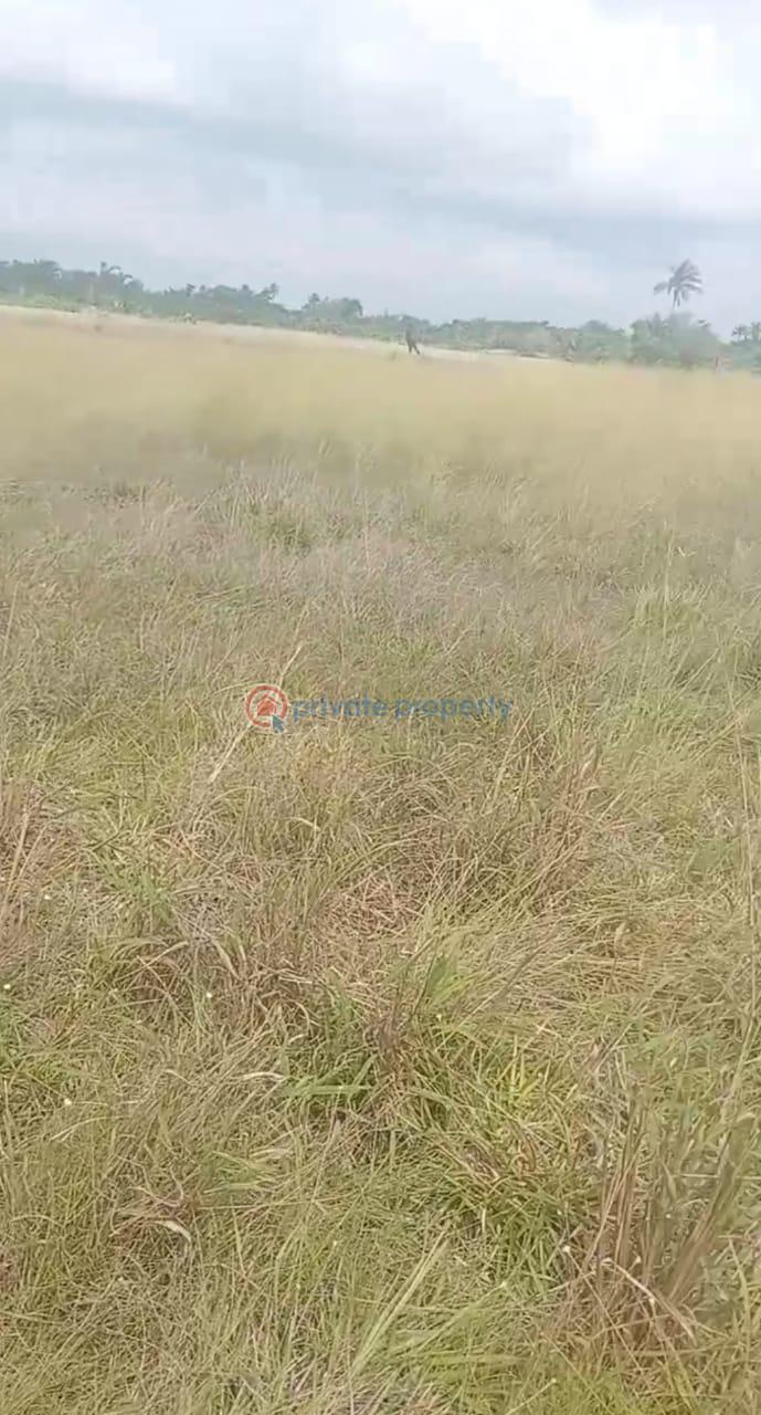Commercial Land For Sale Ituoru Ode Omi Free Trade Zone Ibeju-Lekki Lagos