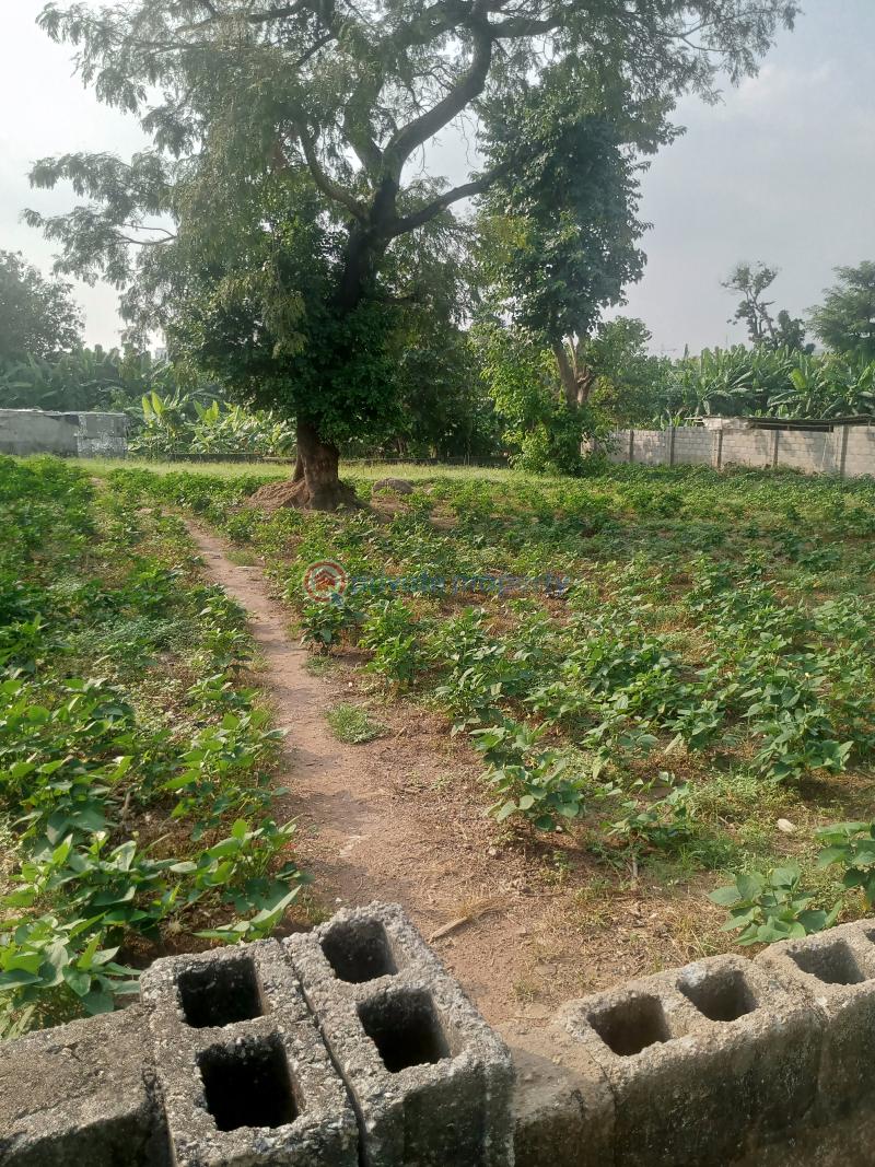 Residential Land For Sale Off Reuben Okoya Street Wuye Abuja Phase 2  - 1