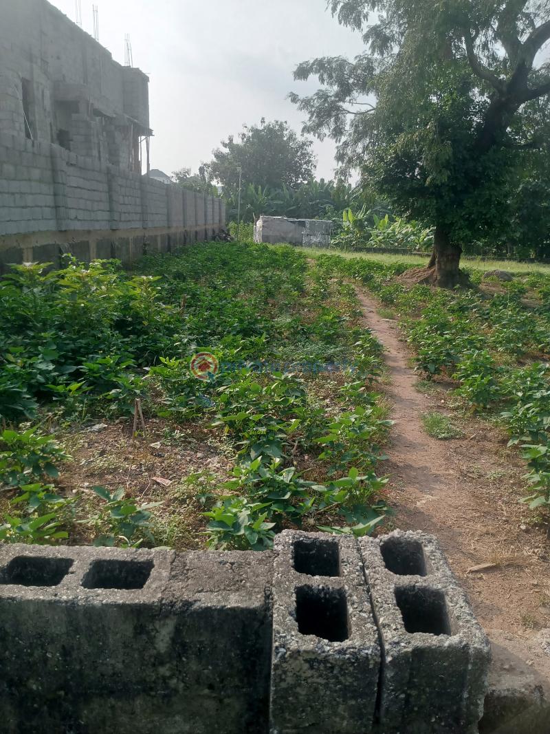Residential Land For Sale Off Reuben Okoya Street Wuye Abuja Phase 2  - 7