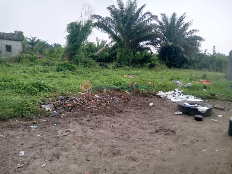 Mixed use Land For Sale Jehovah Witness Road, Bogije, Sharing Fence With Kingdom Hall Alatise Ibeju-Lekki Lagos - 3