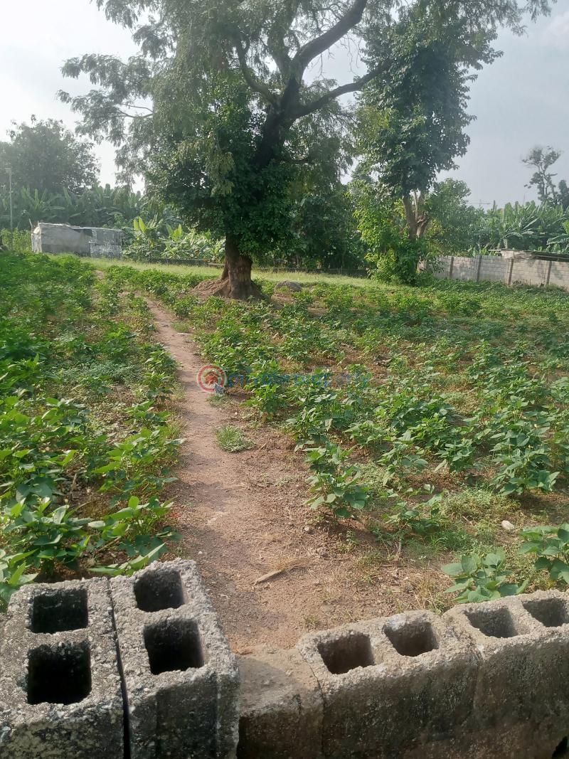 Residential Land For Sale Off Reuben Okoya Street Wuye Abuja Phase 2  - 8