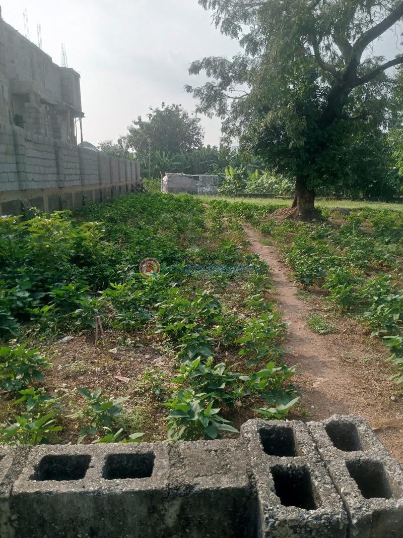 Residential Land For Sale Off Reuben Okoya Street Wuye Abuja Phase 2  - 4