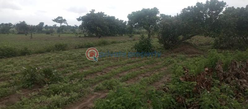 Land For Sale Epe Signature, Igbonla Epe Lagos