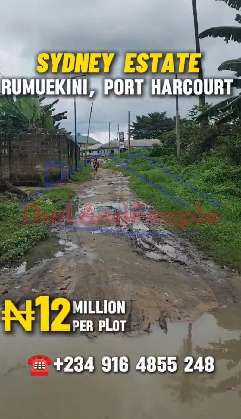 Mixed use Land For Sale Rumuekini Obio-Akpor Port Harcourt Rivers - 6