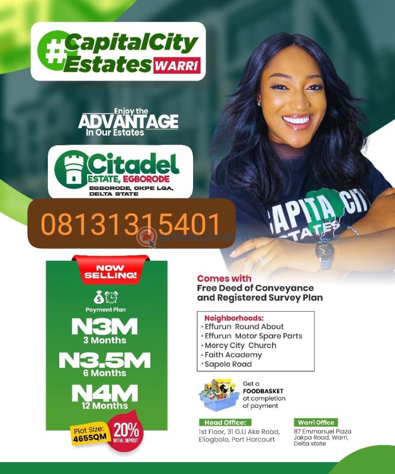 Mixed use Land For Sale Egboredo Okpe Delta