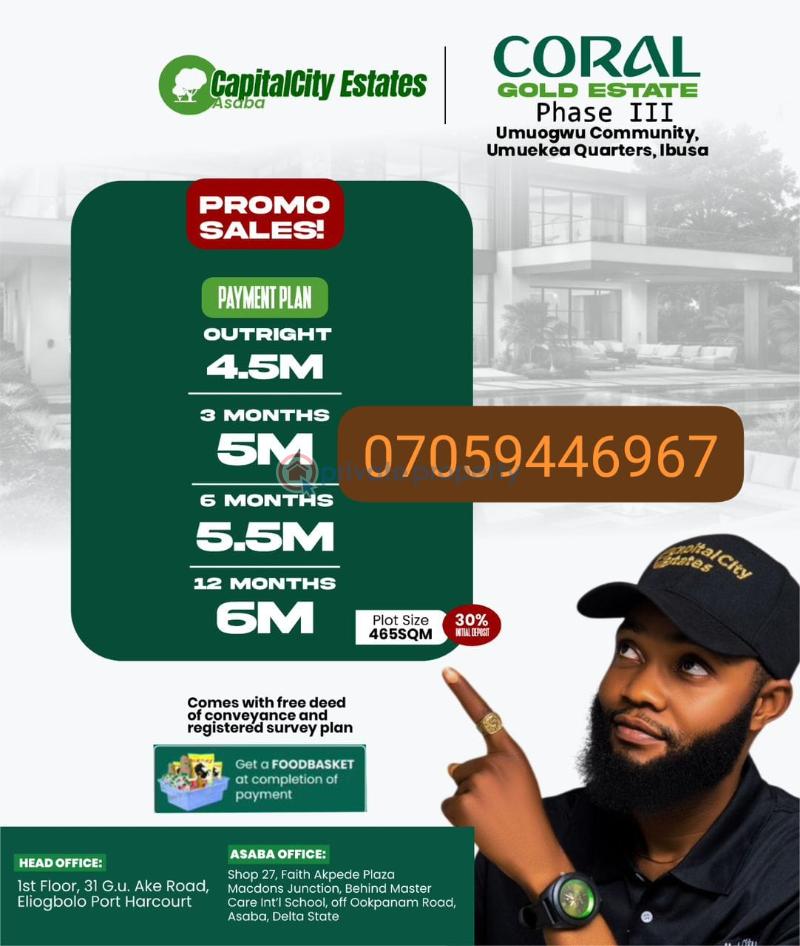 Mixed use Land For Sale Umuekea Quarters Ibusa Oshimili North Delta