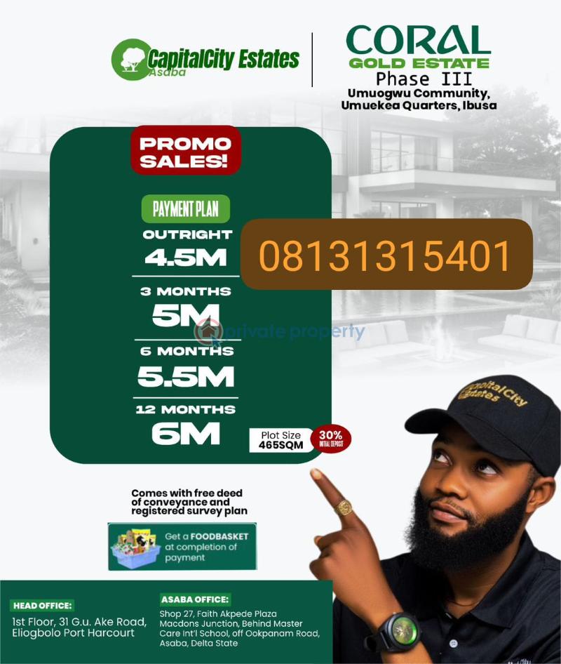Mixed use Land For Sale Umueka Quarters Ibusa Oshimili North Delta