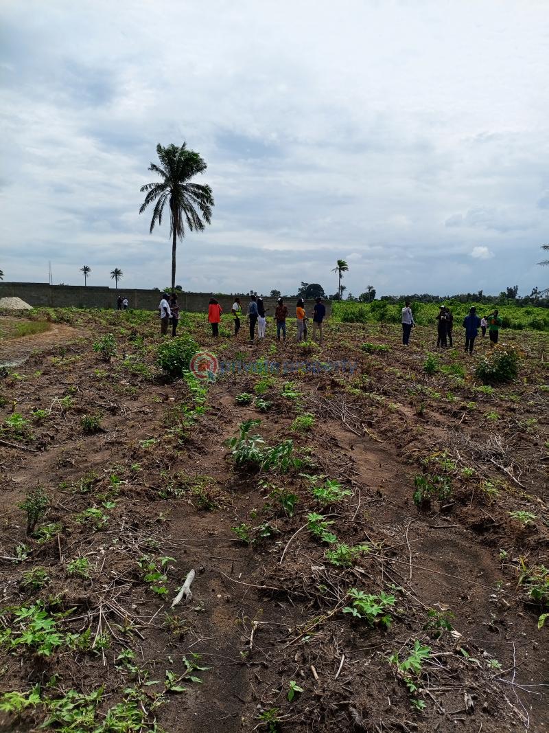 Plots of land - 1 Residential Land For Sale Coral City Iloti Estate Epe Ijebu Road Ogun Ogun area  - 1