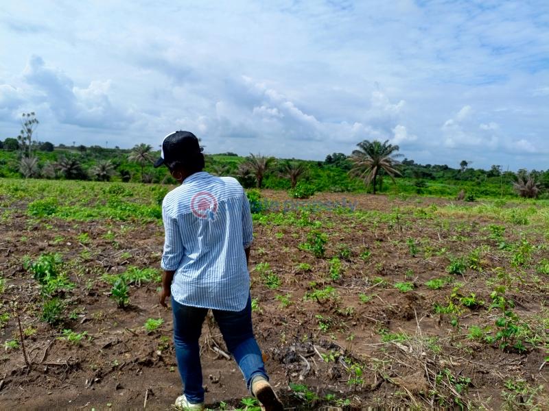 Plots of land - 2 Residential Land For Sale Coral City Iloti Estate Epe Ijebu Road Ogun Ogun area  - 2