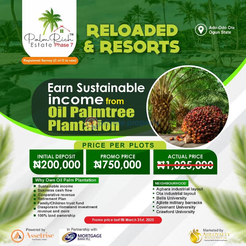 Mixed use Land For Sale Palm Rich Estate Phase 7 Ado Odo Ota Ado Odo/Ota Ogun - 2