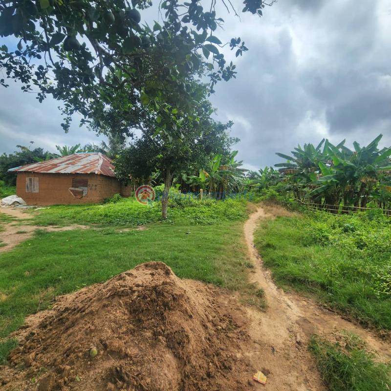 Land For Sale Otun Village, Alabata Moniya Ibadan Moniya Ibadan Oyo - 1