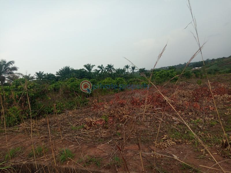 For sale Land Egborode Community, Along Warri Sapele Road, Okpe Lga
