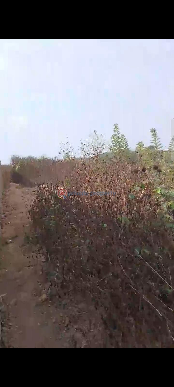 Plots of land at omololu olunloyo gra, adeoyo road, ring road, ibadan - 3 Residential Land For Sale Omololu Olunloyo Gra, Adeoyo, Ring Road, Ibadan Ring Road Ibadan Oyo - 3