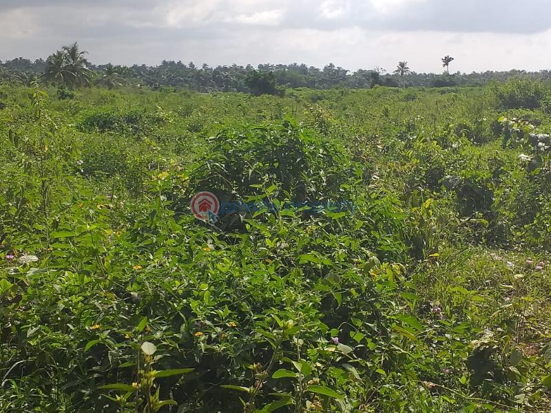 Commercial Land For Sale Opposite Shoprite @ Shagotedo Behind Fidzo Estate Sangotedo Ajah Lagos