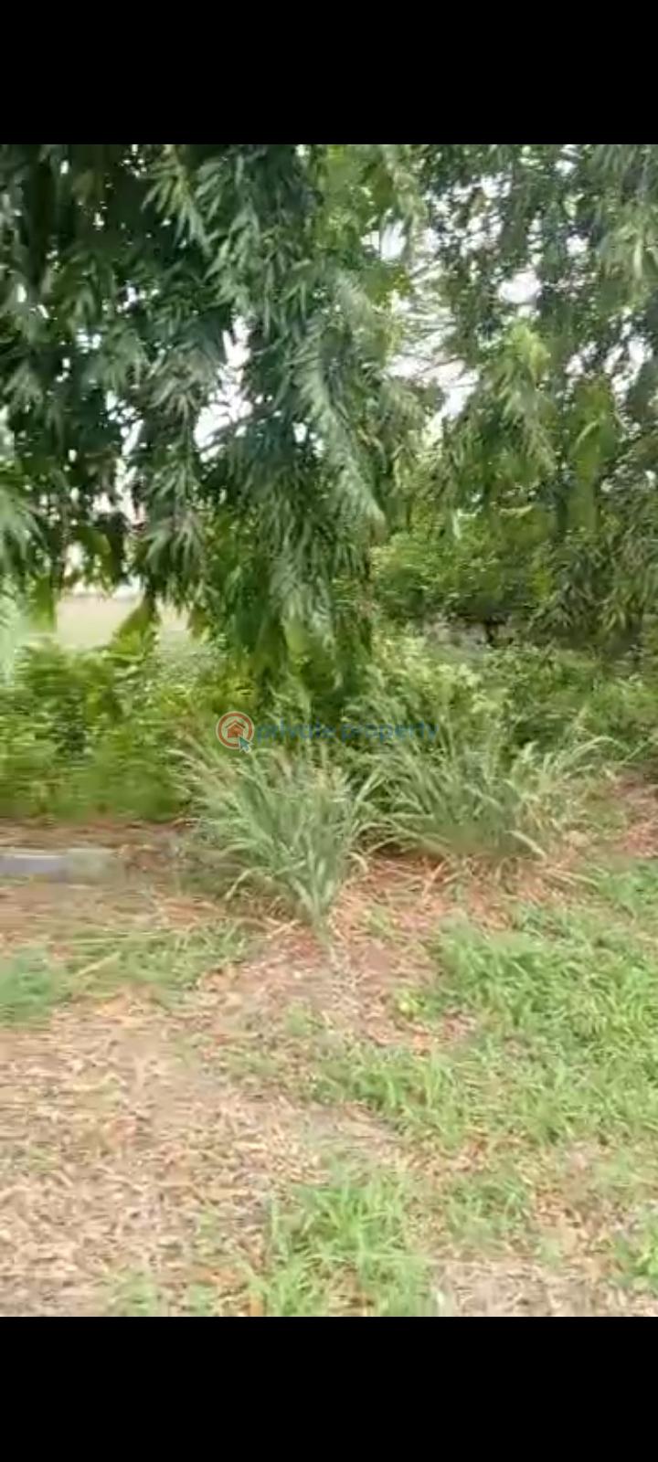Commercial Land For Sale Agidinbgi Ikeja Lagos - 5