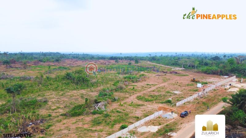 Residential Land For Sale The Pineapples In Imota, Ikorodu, Lagos State Ikorodu Lagos - 8