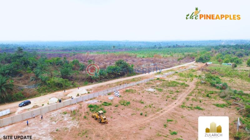 Residential Land For Sale The Pineapples In Imota, Ikorodu, Lagos State Ikorodu Lagos - 7