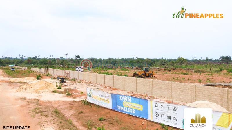 Residential Land For Sale The Pineapples In Imota, Ikorodu, Lagos State Ikorodu Lagos - 2