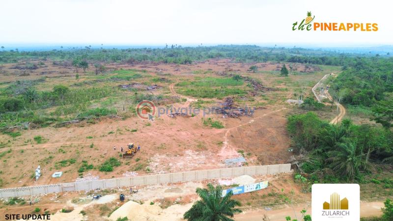 Residential Land For Sale The Pineapples In Imota, Ikorodu, Lagos State Ikorodu Lagos - 6