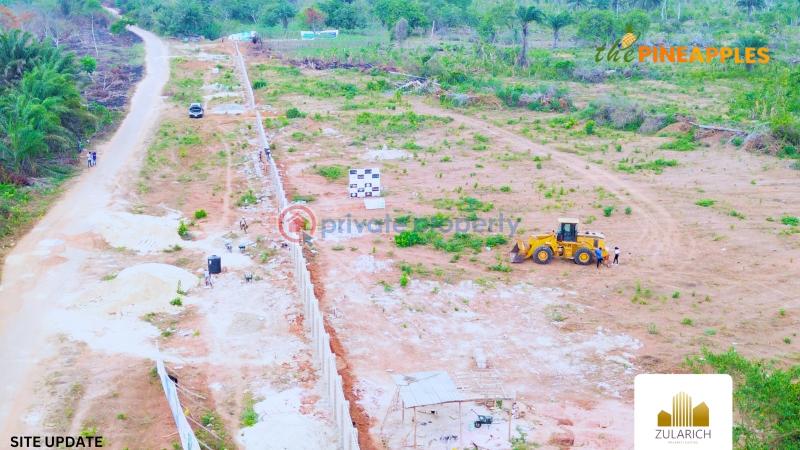 Residential Land For Sale The Pineapples In Imota, Ikorodu, Lagos State Ikorodu Lagos - 4