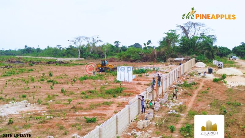 Residential Land For Sale The Pineapples In Imota, Ikorodu, Lagos State Ikorodu Lagos - 3