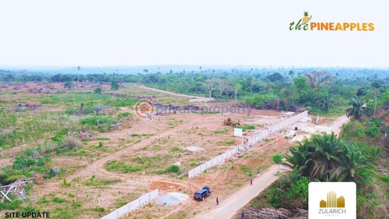 Residential Land For Sale The Pineapples In Imota, Ikorodu, Lagos State Ikorodu Lagos - 5