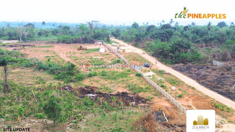 Residential Land For Sale The Pineapples In Imota, Ikorodu, Lagos State Ikorodu Lagos - 9