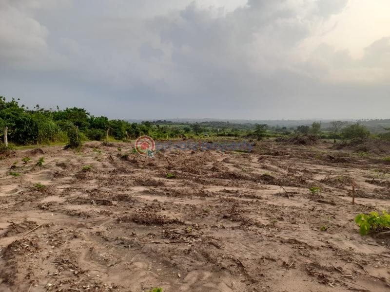 For sale Land Umudim, Nnewi, Anambra Area (PID 3PABDH) Private