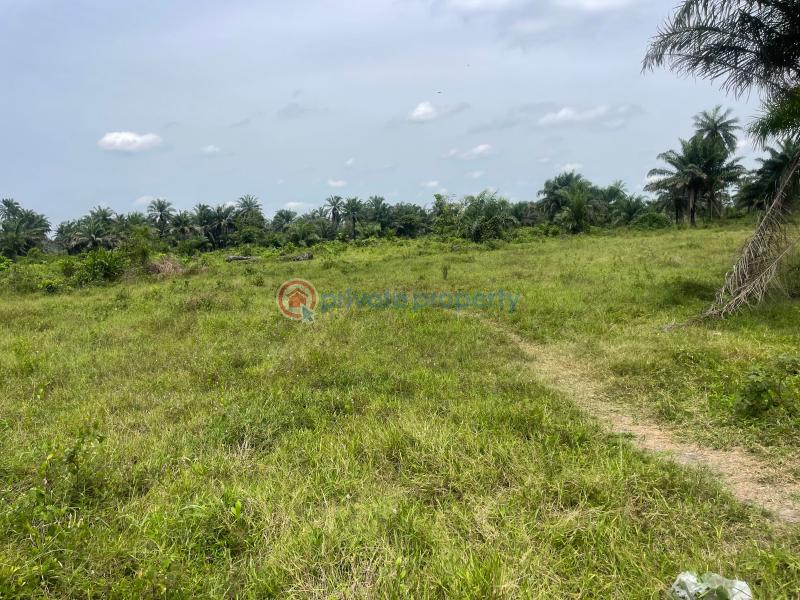 Residential Land For Sale Garden City Residence, Omagwa Port Harcourt Rivers - 2