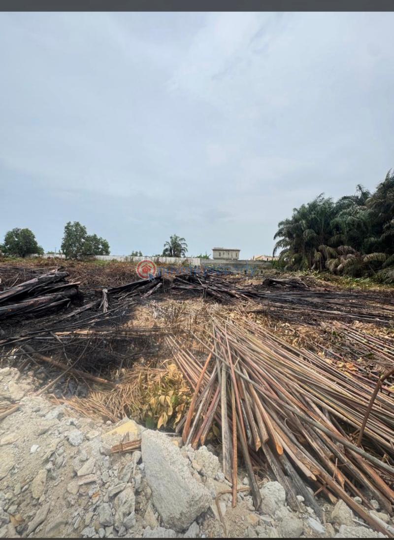 Residential Land For Sale Monastery Road Sangotedo Lagos