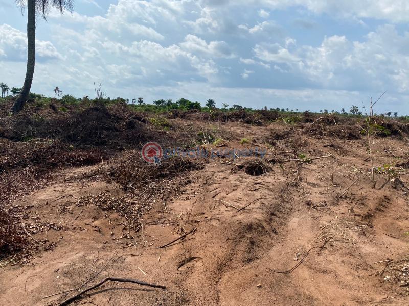 Mixed use Land For Sale Ogbaku Off Owerri Onitsha Rd, Mbaitoli Lga, Imo State Owerri Imo - 0