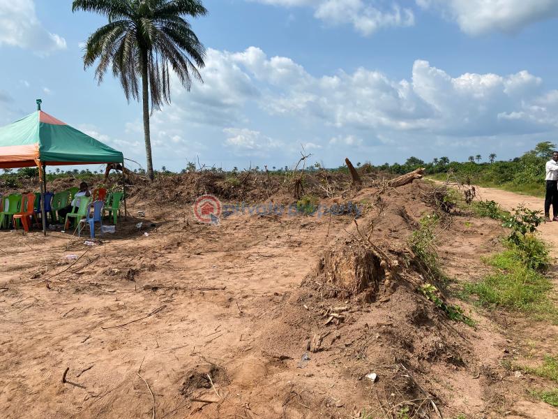 Mixed use Land For Sale Ogbaku Off Owerri Onitsha Rd, Mbaitoli Lga, Imo State Owerri Imo - 7