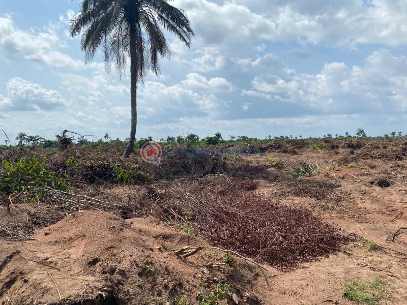 Mixed use Land For Sale Ogbaku Off Owerri Onitsha Rd, Mbaitoli Lga, Imo State Owerri Imo - 4