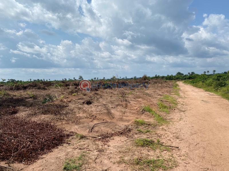 Mixed use Land For Sale Ogbaku Off Owerri Onitsha Rd, Mbaitoli Lga, Imo State Owerri Imo - 3