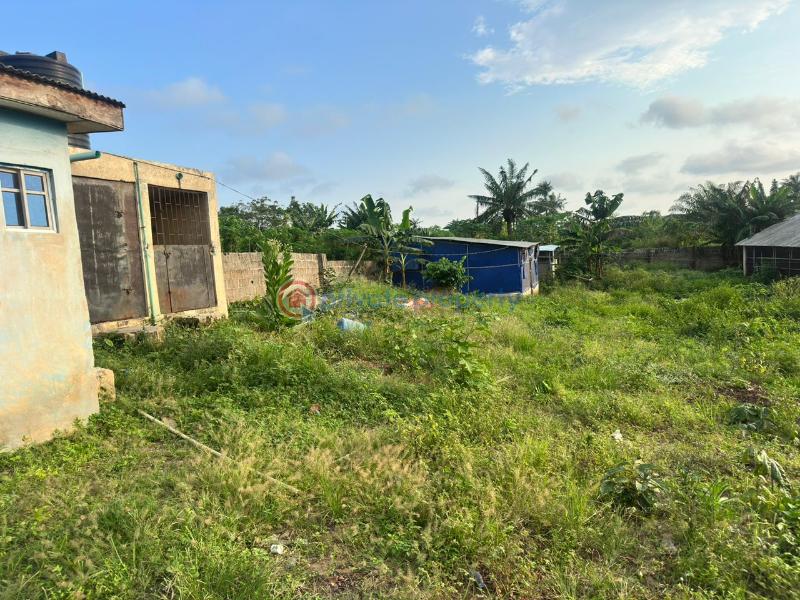 Commercial Land For Sale Behind Lasued School Noforija Epe Epe Lagos - 2