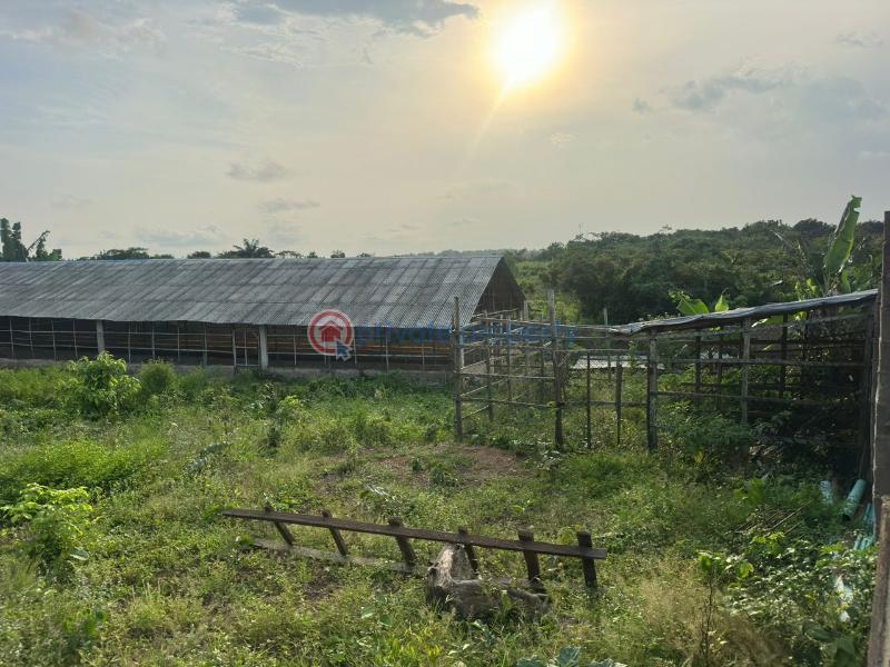 Commercial Land For Sale Behind Lasued School Noforija Epe Epe Lagos - 4