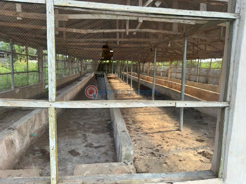 Commercial Land For Sale Behind Lasued School Noforija Epe Epe Lagos - 5