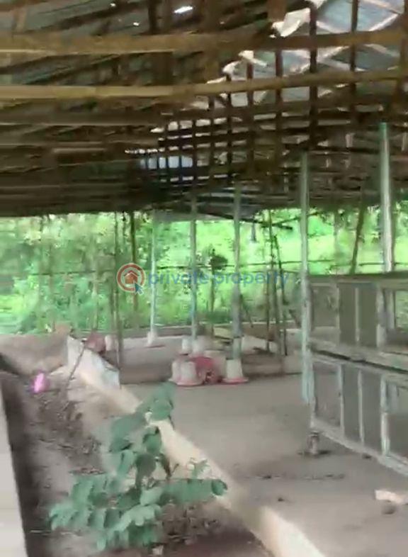 Commercial Property For Sale Ifo Ogun - 4