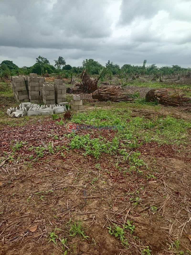 Land For Sale Eleko Ibeju-Lekki Lagos - 1