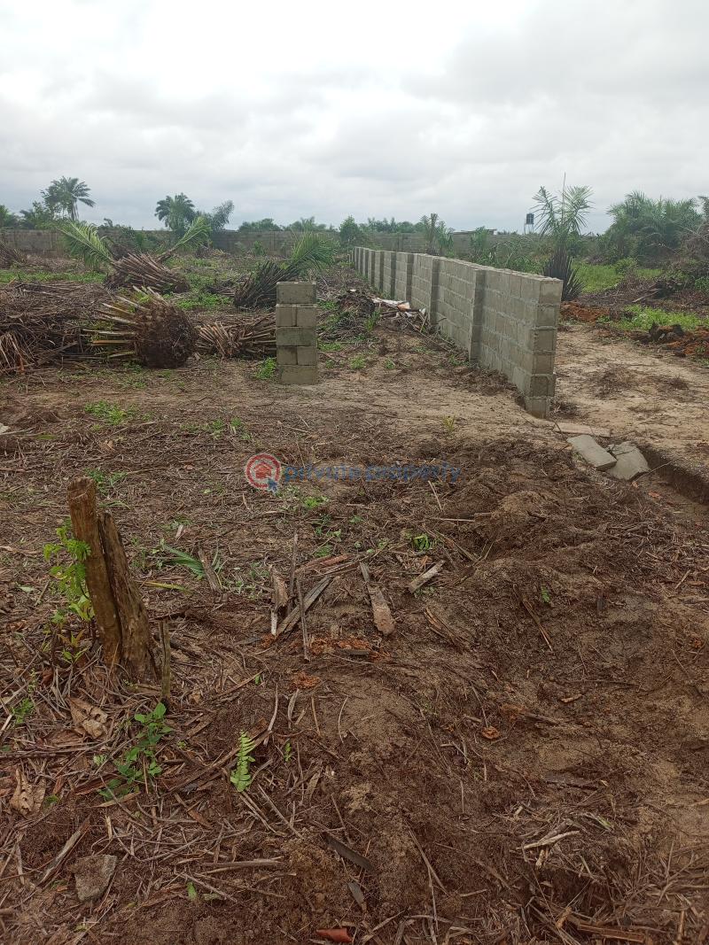 Land For Sale Eleko Ibeju-Lekki Lagos - 0
