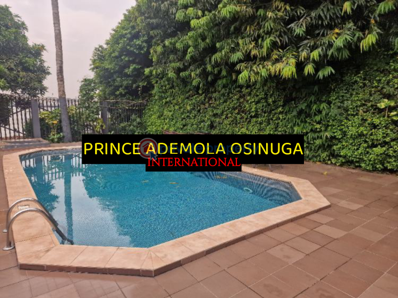 3 bedroom Flat & Apartment For Rent Old Ikoyi Lagos - 7