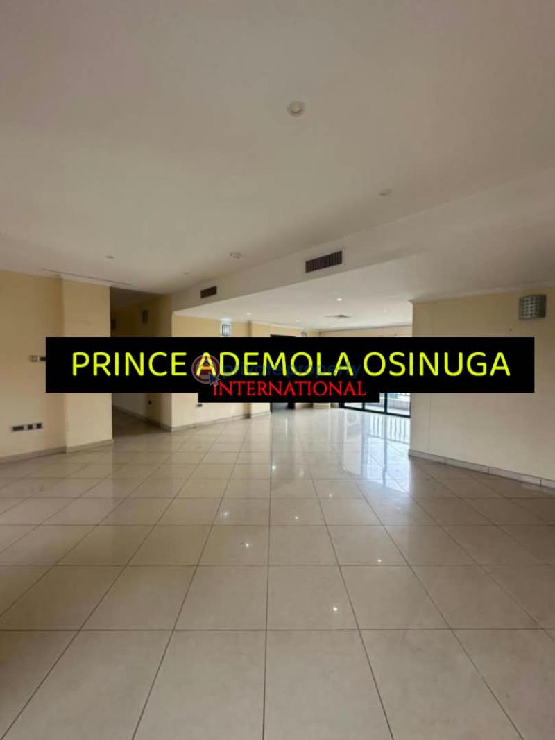 4 bedroom Flat & Apartment For Rent Old Ikoyi Lagos - 5