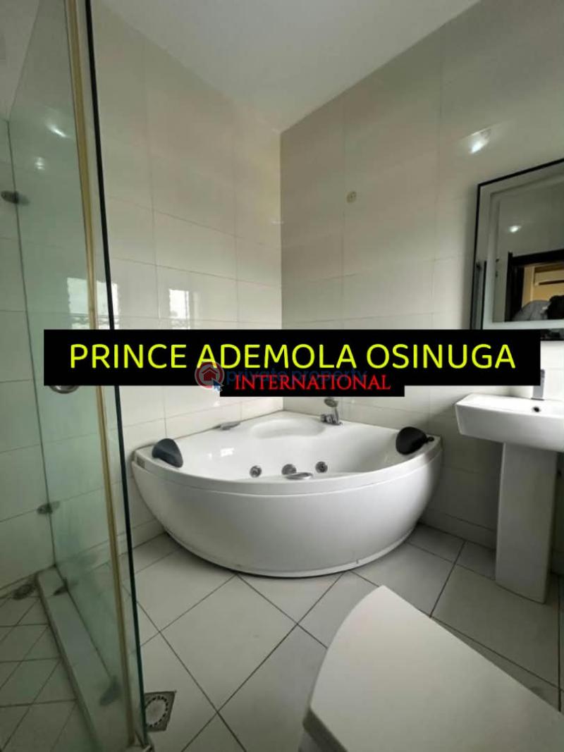 4 bedroom Flat & Apartment For Rent Old Ikoyi Lagos - 7