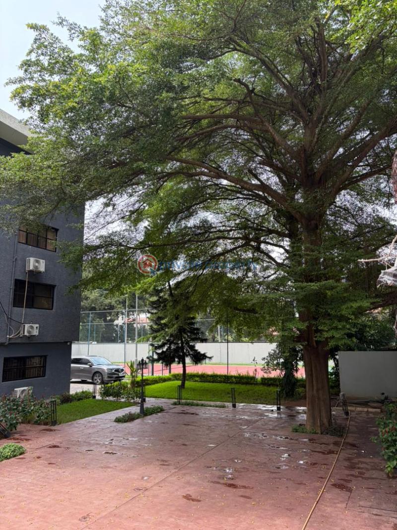 3 bedroom Shared Apartment Short let Ikoyi Lagos - 8