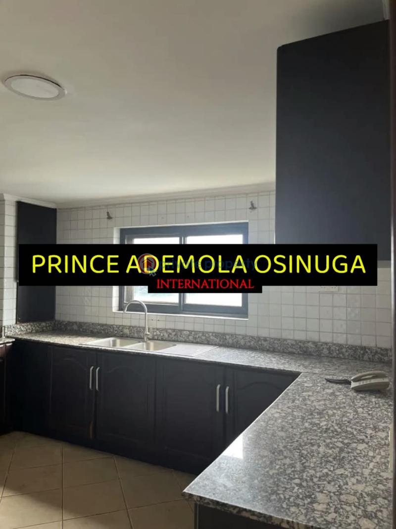 4 bedroom Flat & Apartment For Rent Old Ikoyi Lagos - 3