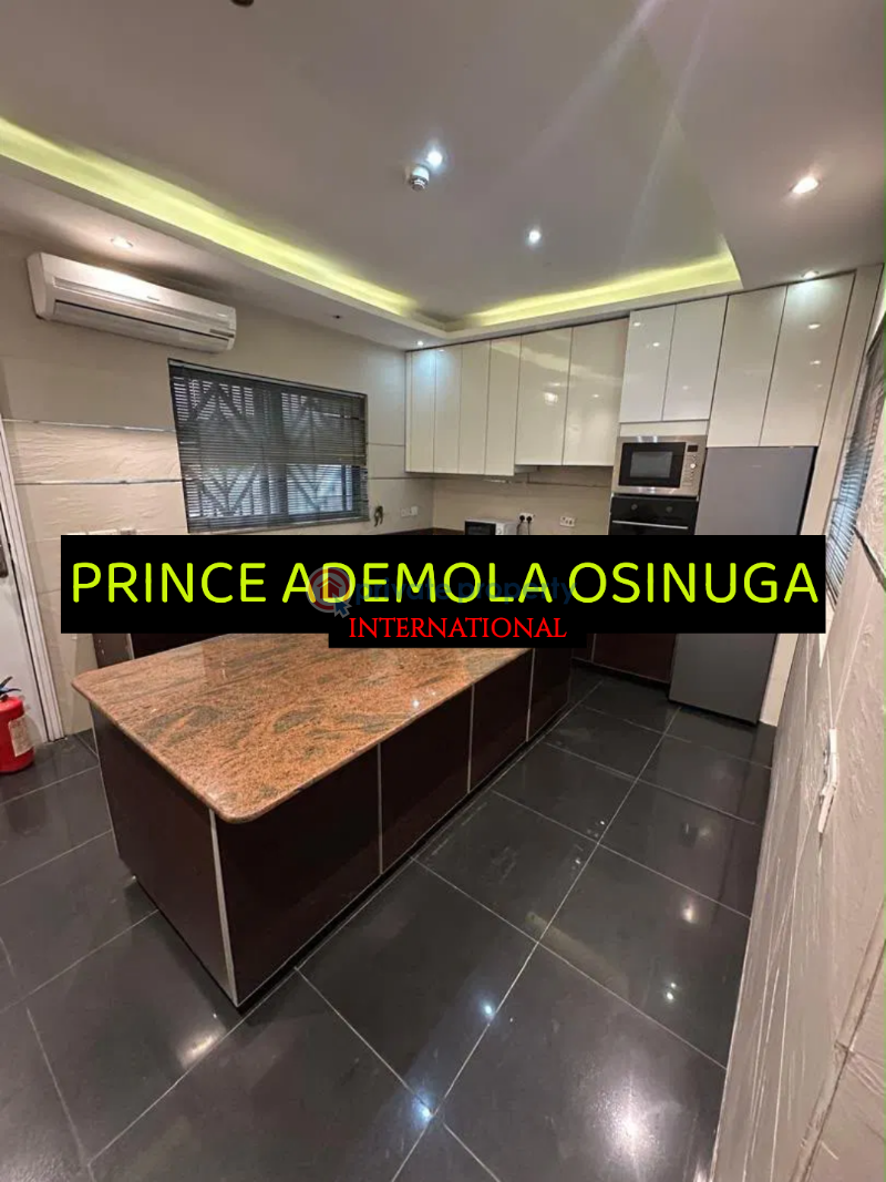 2 bedroom Flat & Apartment For Rent Old Ikoyi Lagos - 7