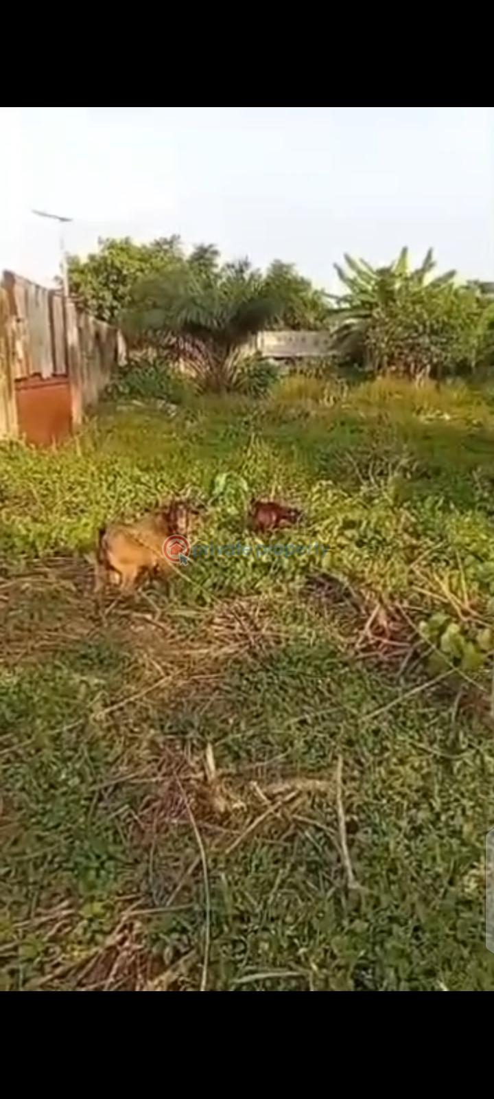 Residential Land For Sale Adegbose Oluodo Ebute Axis Ebute Ikorodu Lagos - 2